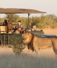 Hwange Day Trip - Unleashing the Adventure with Personalized Safari Tours Across Africa