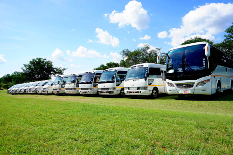 Unleashing the Adventure with Personalized Safari Tours Across Africa